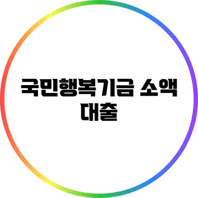 국민행복기금 소액 대출