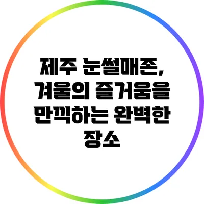 제주 눈썰매존, 겨울의 즐거움을 만끽하는 완벽한 장소