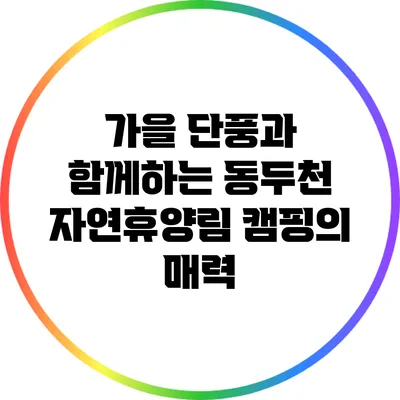 가을 단풍과 함께하는 동두천 자연휴양림 캠핑의 매력
