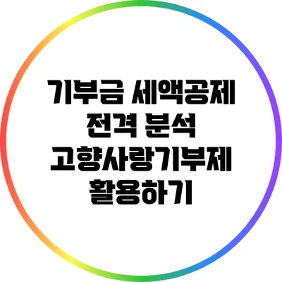 기부금 세액공제 전격 분석: 고향사랑기부제 활용하기