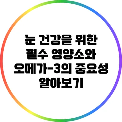 눈 건강을 위한 필수 영양소와 오메가-3의 중요성 알아보기