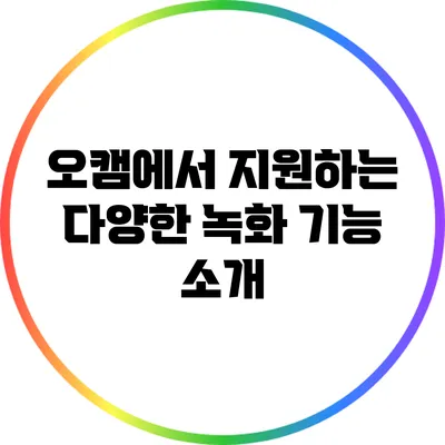 오캠에서 지원하는 다양한 녹화 기능 소개
