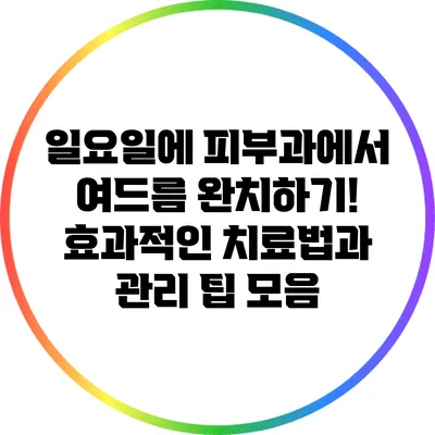 일요일에 피부과에서 여드름 완치하기! 효과적인 치료법과 관리 팁 모음