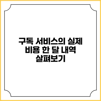 구독 서비스의 실제 비용 한 달 내역 살펴보기