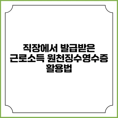 직장에서 발급받은 근로소득 원천징수영수증 활용법