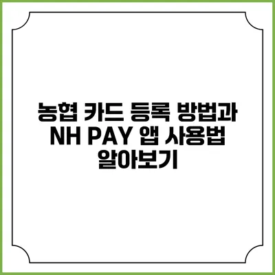 농협 카드 등록 방법과 NH PAY 앱 사용법 알아보기