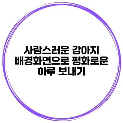사랑스러운 강아지 배경화면으로 평화로운 하루 보내기