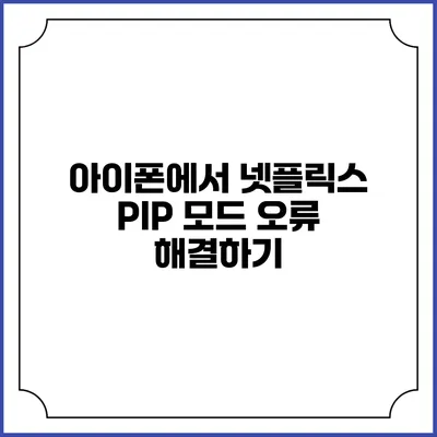 아이폰에서 넷플릭스 PIP 모드 오류 해결하기