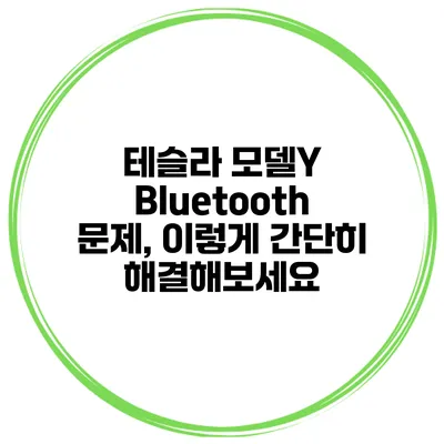 테슬라 모델Y Bluetooth 문제, 이렇게 간단히 해결해보세요