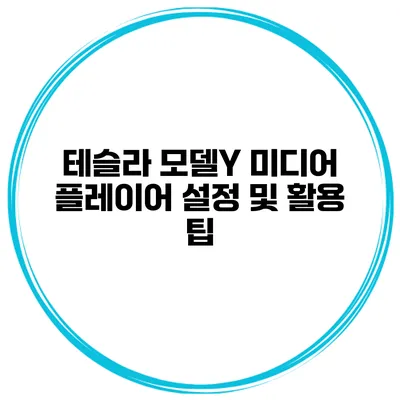 테슬라 모델Y 미디어 플레이어 설정 및 활용 팁