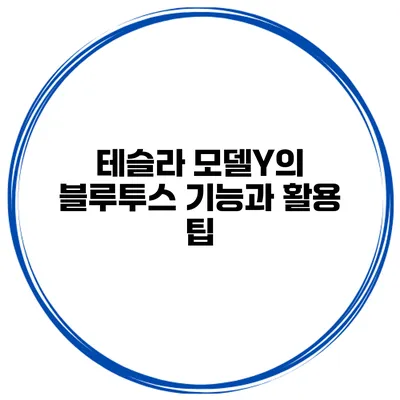 테슬라 모델Y의 블루투스 기능과 활용 팁