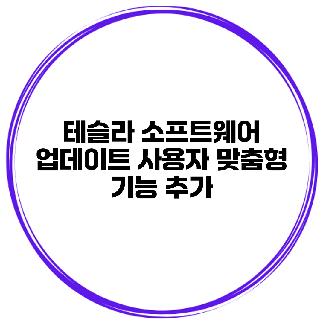 테슬라 소프트웨어 업데이트 사용자 맞춤형 기능 추가